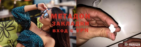ПСИЛОЦИБИНОВЫЕ ГРИБЫ Гусев