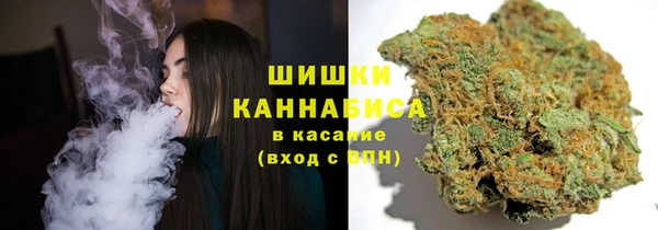 ПСИЛОЦИБИНОВЫЕ ГРИБЫ Гусев