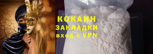 ПСИЛОЦИБИНОВЫЕ ГРИБЫ Гусев