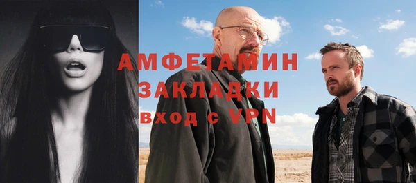 ПСИЛОЦИБИНОВЫЕ ГРИБЫ Гусев