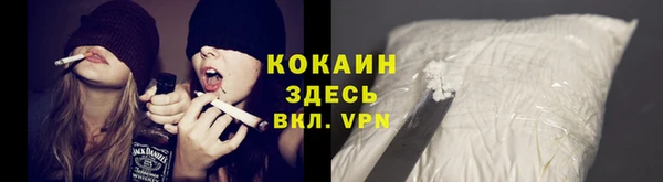 ПСИЛОЦИБИНОВЫЕ ГРИБЫ Гусев