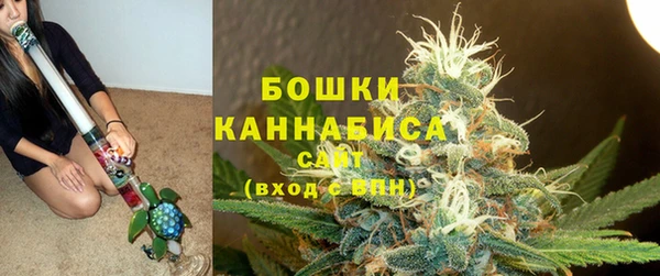 метадон Гусь-Хрустальный