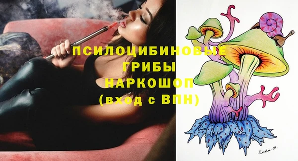 ПСИЛОЦИБИНОВЫЕ ГРИБЫ Гусев