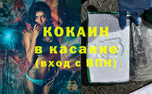 ПСИЛОЦИБИНОВЫЕ ГРИБЫ Гусев