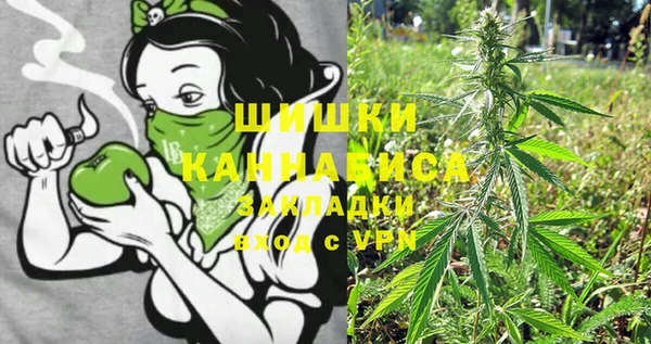 метадон Гусь-Хрустальный