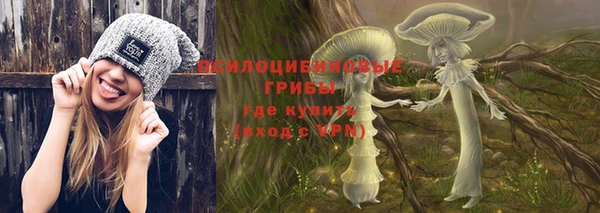 метадон Гусь-Хрустальный