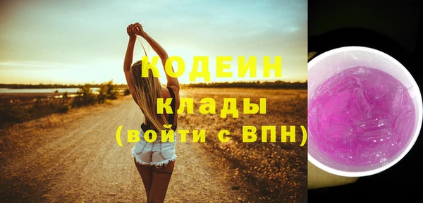 метадон Гусь-Хрустальный