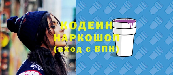 ПСИЛОЦИБИНОВЫЕ ГРИБЫ Гусев