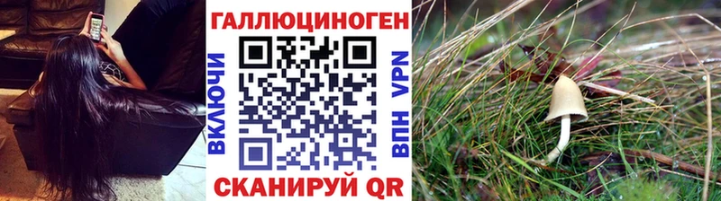 Галлюциногенные грибы Cubensis  Купить  Ивангород 